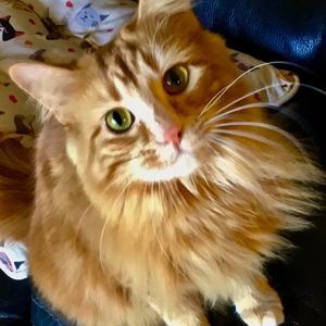 Meet your Posher, Marilynn